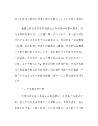 国企党委书记巡视反馈意见整改专题民主生活会对照检查材料