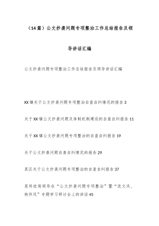 （14篇）公文抄袭问题专项整治工作总结报告及领导讲话汇编