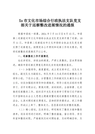 Xx市文化市场综合行政执法支队党支部关于巡察整改进展情况的通报
