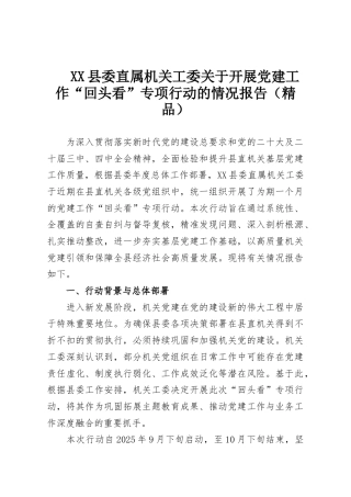 XX县委直属机关工委关于开展党建工作“回头看”专项行动的情况报告（精品）