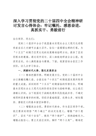 深入学习贯彻党的二十届四中全会精神研讨发言心得体会：牢记嘱托、感恩奋进，真抓实干、勇毅前行
