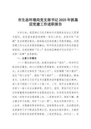 市生态环境局党支部书记2025年抓基层党建工作述职报告