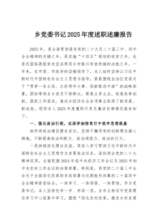 乡党委书记2025年度述职述廉报告
