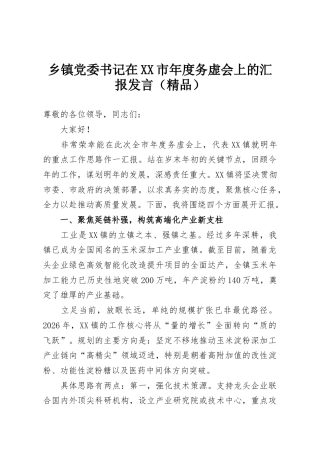 乡镇党委书记在XX市年度务虚会上的汇报发言（精品）