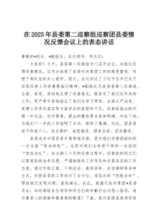 在2025年县委第二巡察组巡察团县委情况反馈会议上的表态讲话