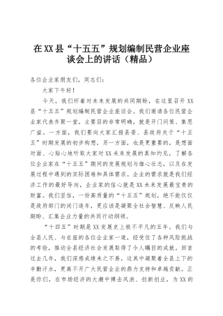 在XX县“十五五”规划编制民营企业座谈会上的讲话（精品）