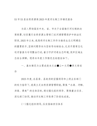 XX市XX县自然资源局2025年度河长制工作情况报告