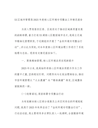 XX区城市管理局2025年度核心区环境专项整治工作情况报告