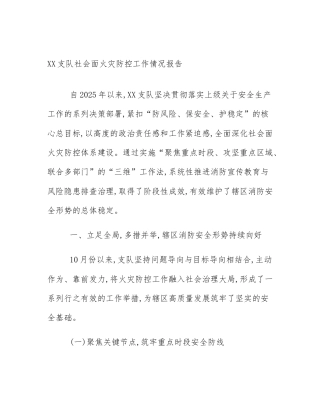 XX支队社会面火灾防控工作情况报告