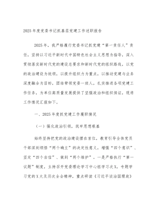 2025年度党委书记抓基层党建工作述职报告