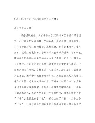 X区2025年年轻干部培训班学习心得体会