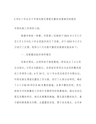 X市红十字会关于市委巡察反馈意见整改进展情况的报告