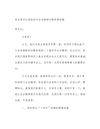 党支部书记党的四中全会精神专题党课讲稿