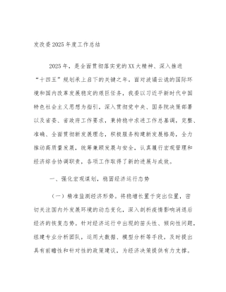 发改委2025年度工作总结
