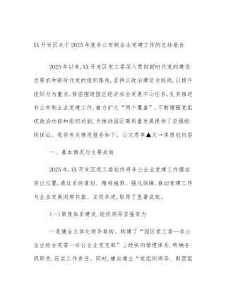 XX开发区关于2025年度非公有制企业党建工作的总结报告