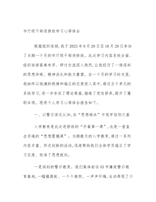 市厅级干部进修班学习心得体会