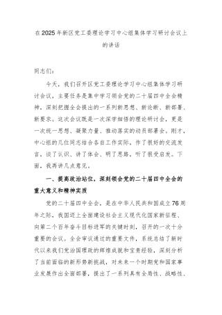 在2025年新区党工委理论学习中心组集体学习研讨会议上的讲话