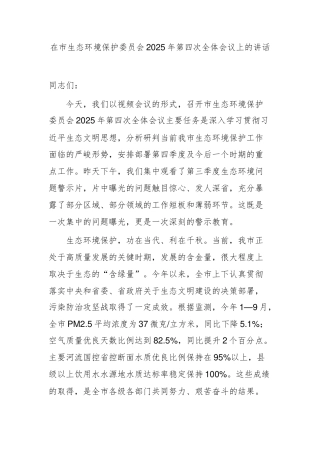 在市生态环境保护委员会2025年第四次全体会议上的讲话