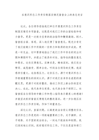 在意识形态工作责任制落实情况督查会上的表态发言