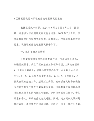 X区档案馆党组关于巡察整改进展情况的报告