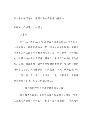 青年干部学习党的二十届四中全会精神心得体会