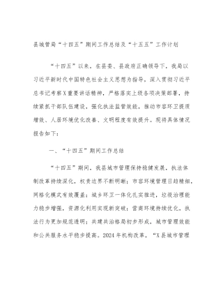 县城管局“十四五”期间工作总结及“十五五”工作计划