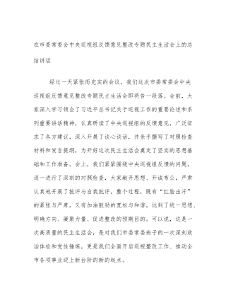 在市委常委会中央巡视组反馈意见整改专题民主生活会上的总结讲话