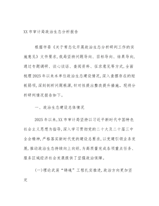 XX市审计局政治生态分析报告