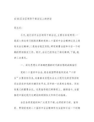 在XX区全区领导干部会议上的讲话