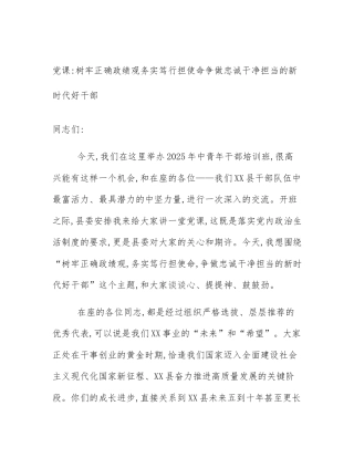 党课_树牢正确政绩观务实笃行担使命争做忠诚干净担当的新时代好干部
