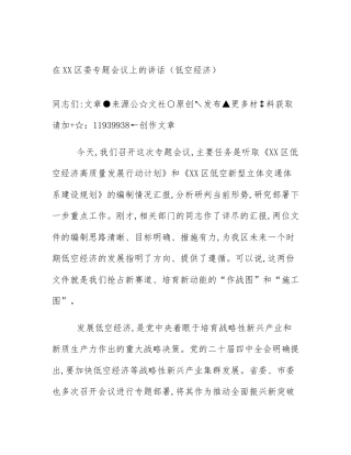 在XX区委专题会议上的讲话（低空经济）