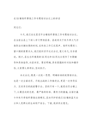 在XX镇秸秆禁烧工作专题培训会议上的讲话