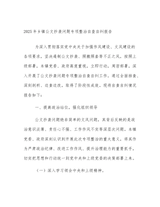 2025年乡镇公文抄袭问题专项整治自查自纠报告