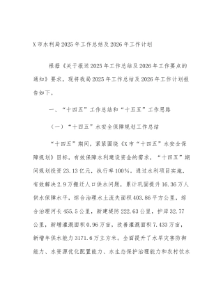 X市水利局2025年工作总结及2026年工作计划