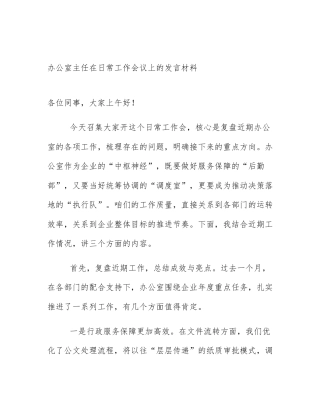 办公室主任在日常工作会议上的发言材料