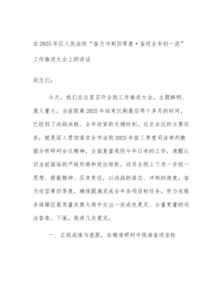 在2025年区人民法院“奋力冲刺四季度·奋进全年创一流”工作推进大会上的讲话