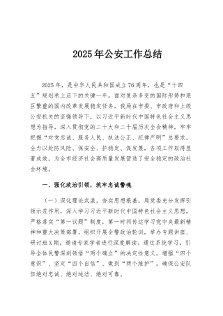 2025年公安工作总结