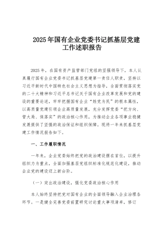 2025年国有企业党委书记抓基层党建工作述职报告
