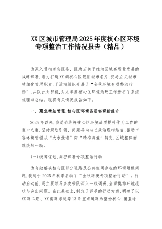 XX区城市管理局2025年度核心区环境专项整治工作情况报告（精品）