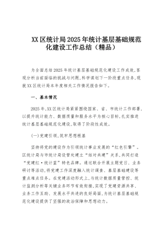 XX区统计局2025年统计基层基础规范化建设工作总结（精品）