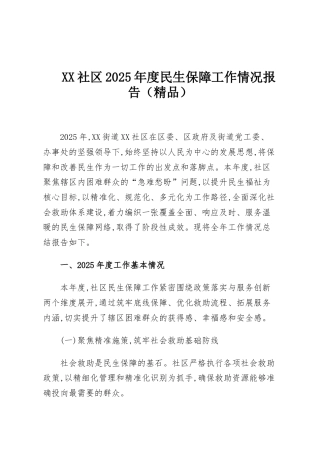 XX社区2025年度民生保障工作情况报告（精品）