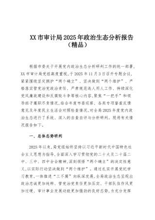 XX市审计局2025年政治生态分析报告（精品）