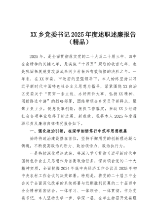 XX乡党委书记2025年度述职述廉报告（精品）