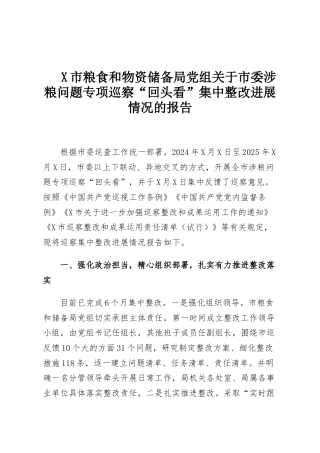 X市粮食和物资储备局党组关于市委涉粮问题专项巡察“回头看”集中整改进展情况的报告