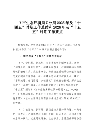 X市生态环境局X分局2025年及“十四五”时期工作总结和2026年及“十五五”时期工作要点
