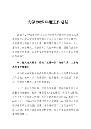 大学2025年度工作总结