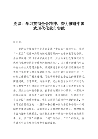 党课：学习贯彻全会精神，奋力推进中国式现代化我市实践