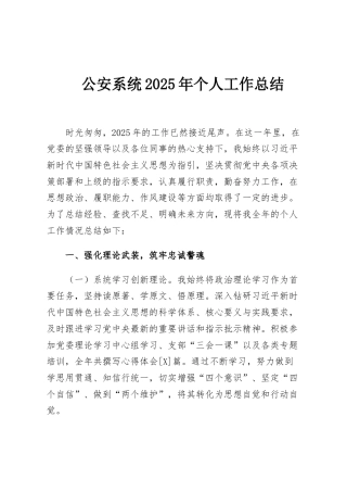 公安系统2025年个人工作总结