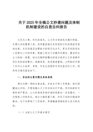 关于2025年全镇公文抄袭问题及体制机制建设的自查自纠报告