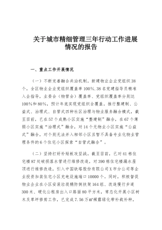 关于城市精细管理三年行动工作进展情况的报告